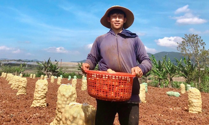 Giai đoạn chuyển mình