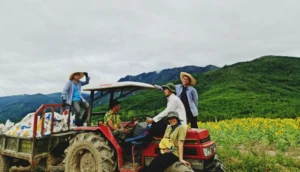 Kinh nghiệm và thành công
