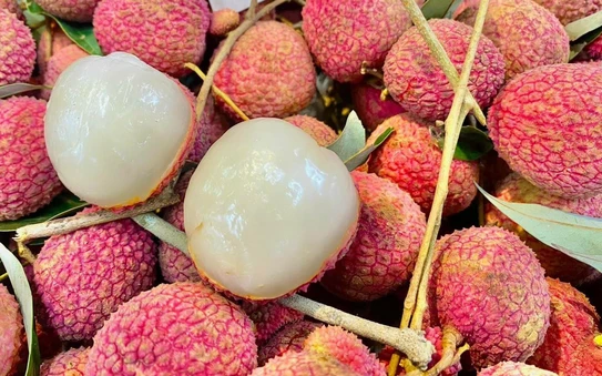 Giá cả và tình hình thị trường